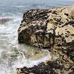 -seas Apartment- Cabo Mares アパート *