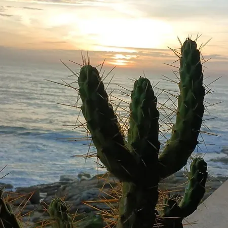 -seas Apartment- Cabo Mares