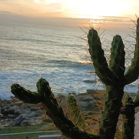 Apartman -seas Apartment- Cabo Mares *