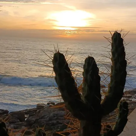-seas Apartment- Cabo Marés *