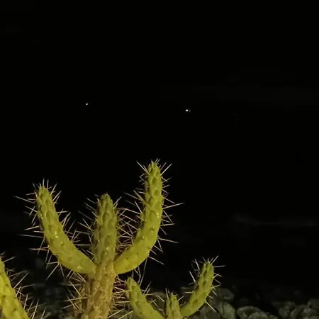 Apartman -seas Apartment- Cabo Mares Matosinhos