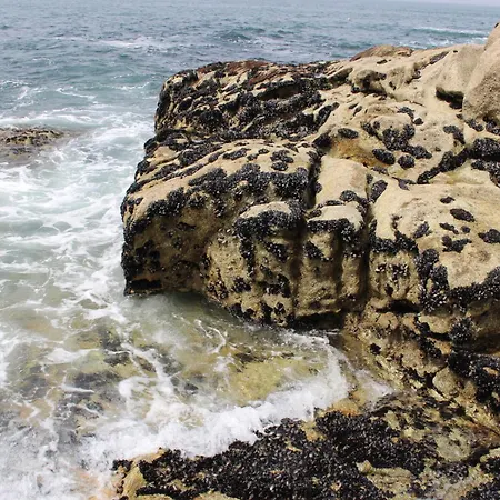 -seas Apartment- Cabo Mares Lejlighed *