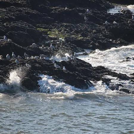 -seas Apartment- Cabo Mares Matosinhos (Porto)