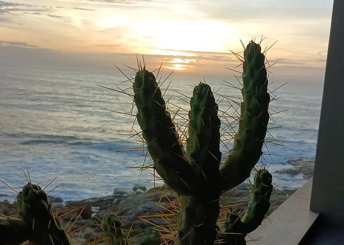 -seas Apartment- Cabo Mares