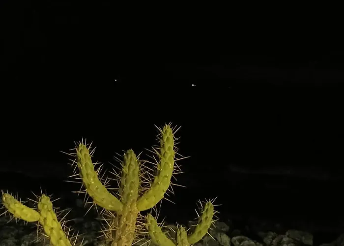 아파트 -seas Apartment- Cabo Mares 마토지뉴스