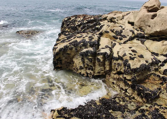 -seas Apartment- Cabo Mares 아파트 *