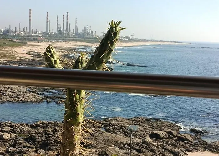 -seas Apartment- Cabo Mares Apartment *