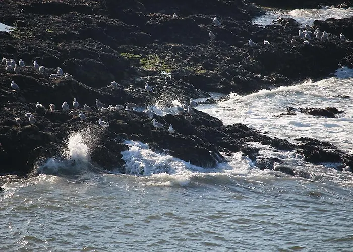 -seas Apartment- Cabo Mares Matosinhos (Porto)